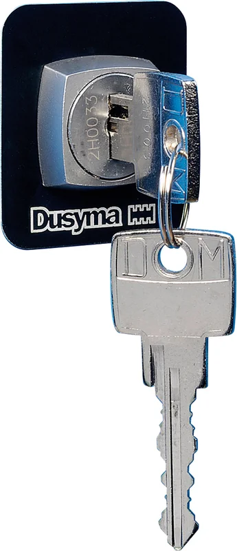 dusyma2899880