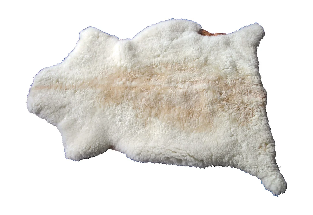 dusyma3043850