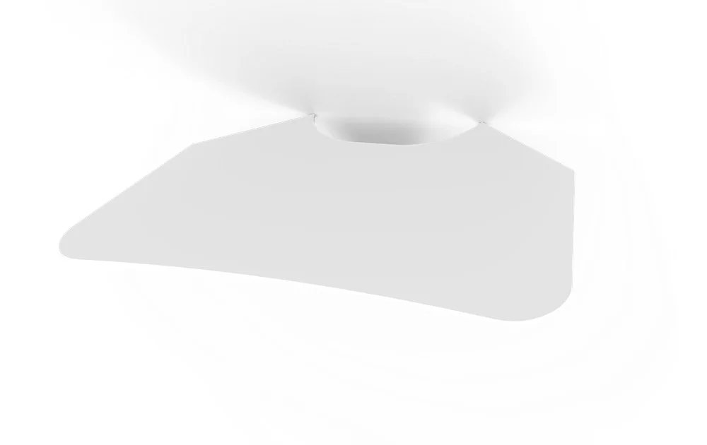 edu2447167