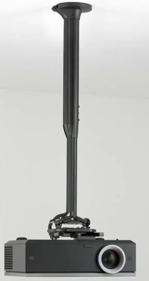 edu2500844