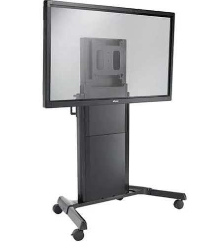 edu2515717