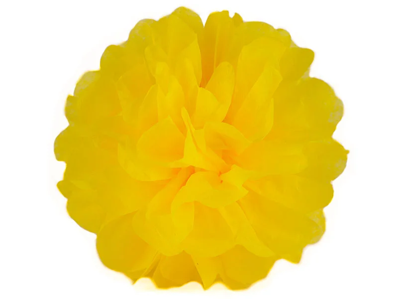 elfenstall2463133