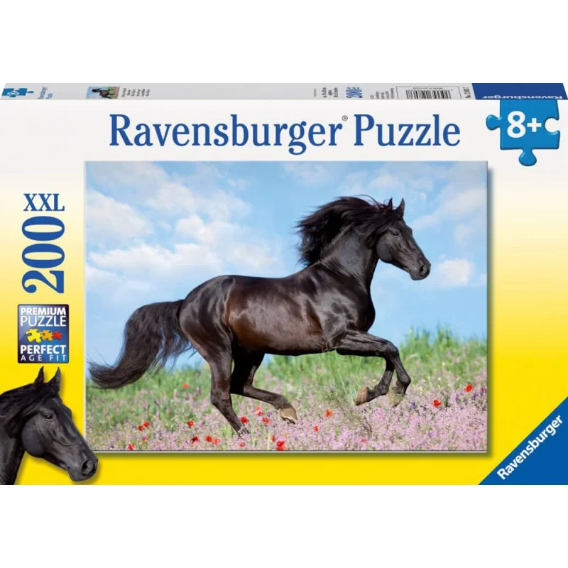 ich-will-zu-nagel2443934