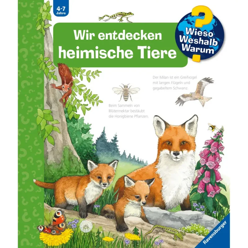 ich-will-zu-nagel2471803