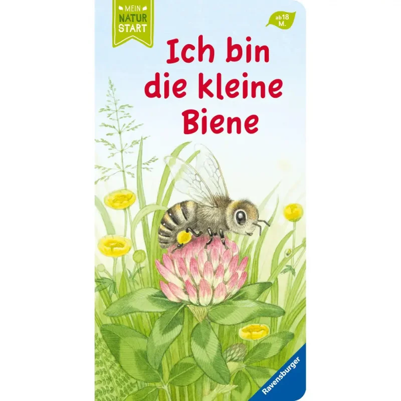 ich-will-zu-nagel2495722