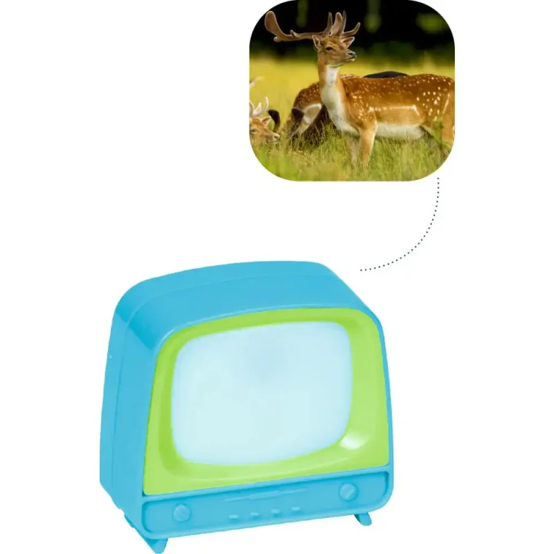 ich-will-zu-nagel2524279