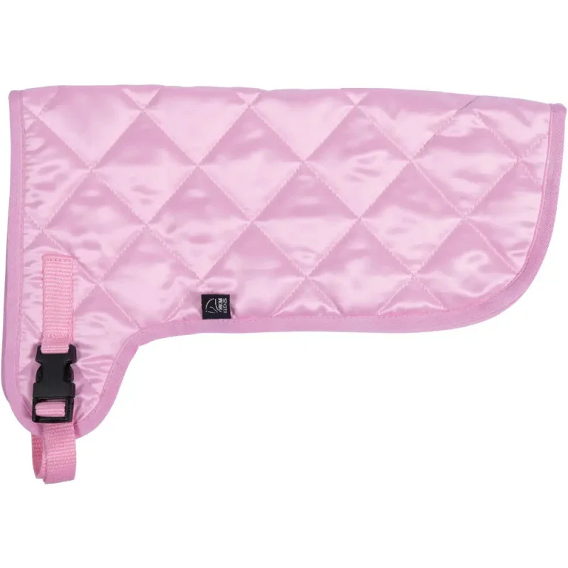 ich-will-zu-nagel2547040