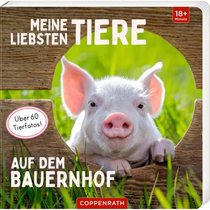 ich-will-zu-nagel2547398