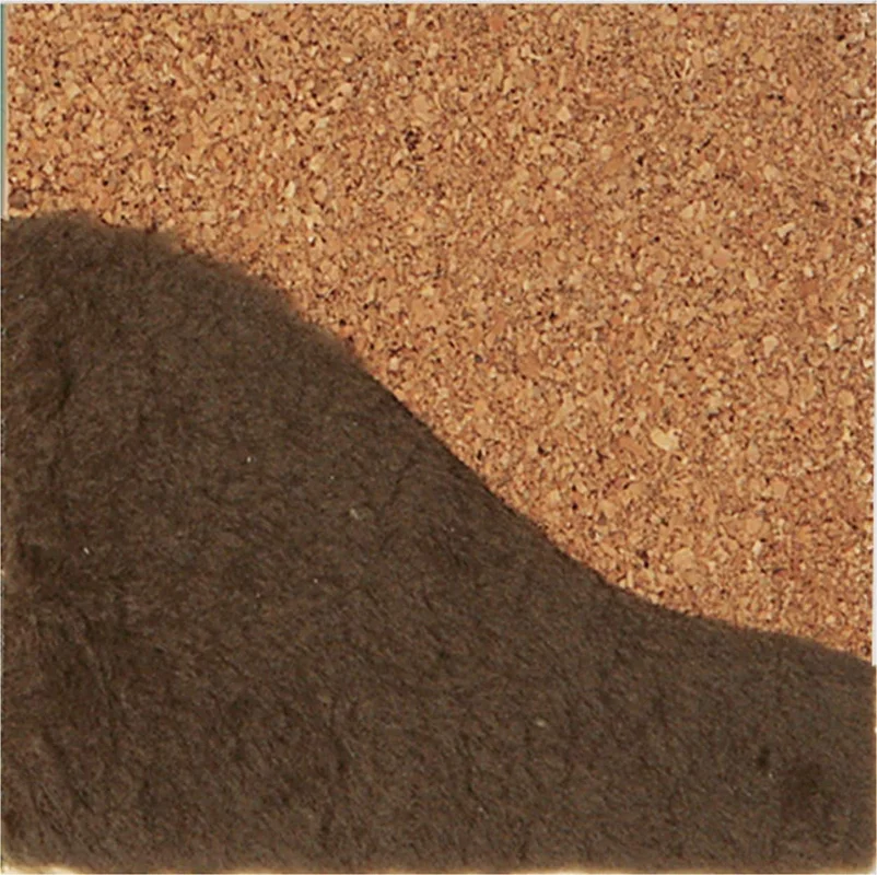 kigata2501615