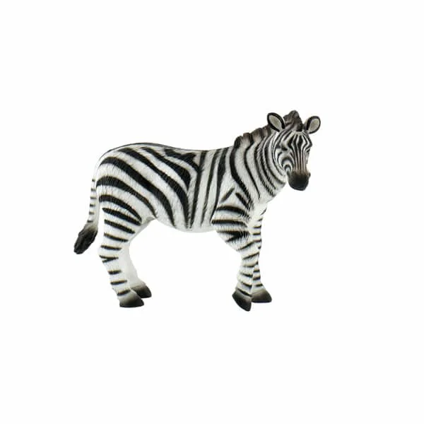 kigata2624556