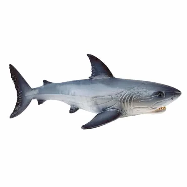 kigata2633055