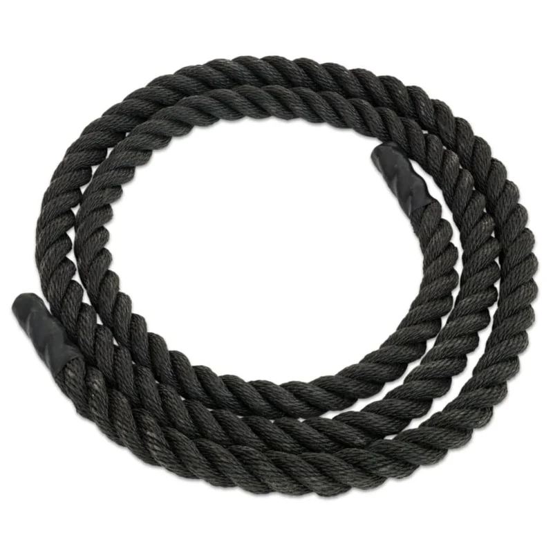 kigata2897595