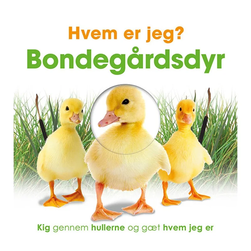 kleineskarussell2747236