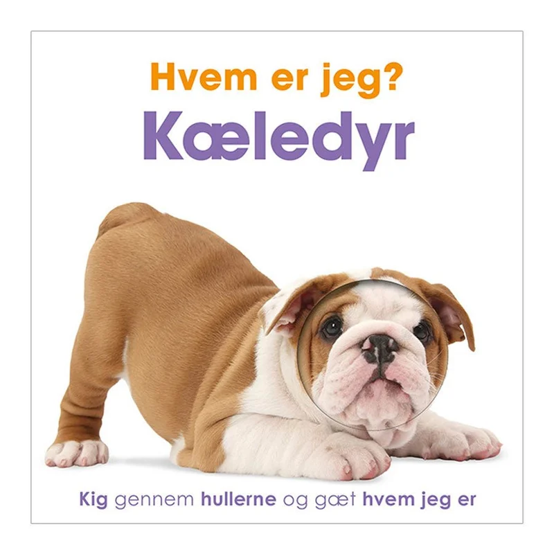 kleineskarussell2747251