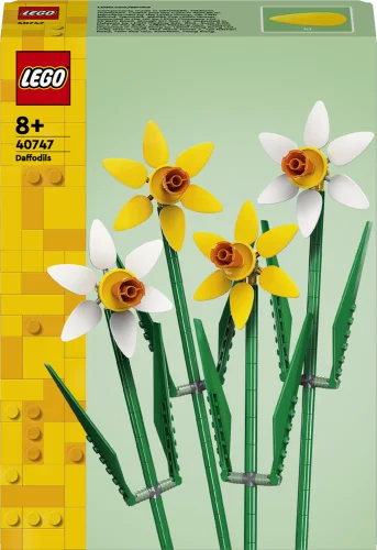 pfeifer-shop2439282