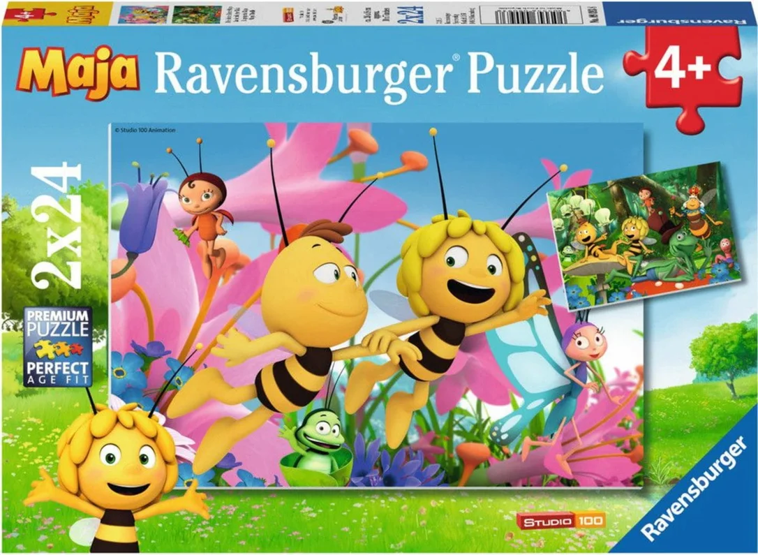 playpolis2438033