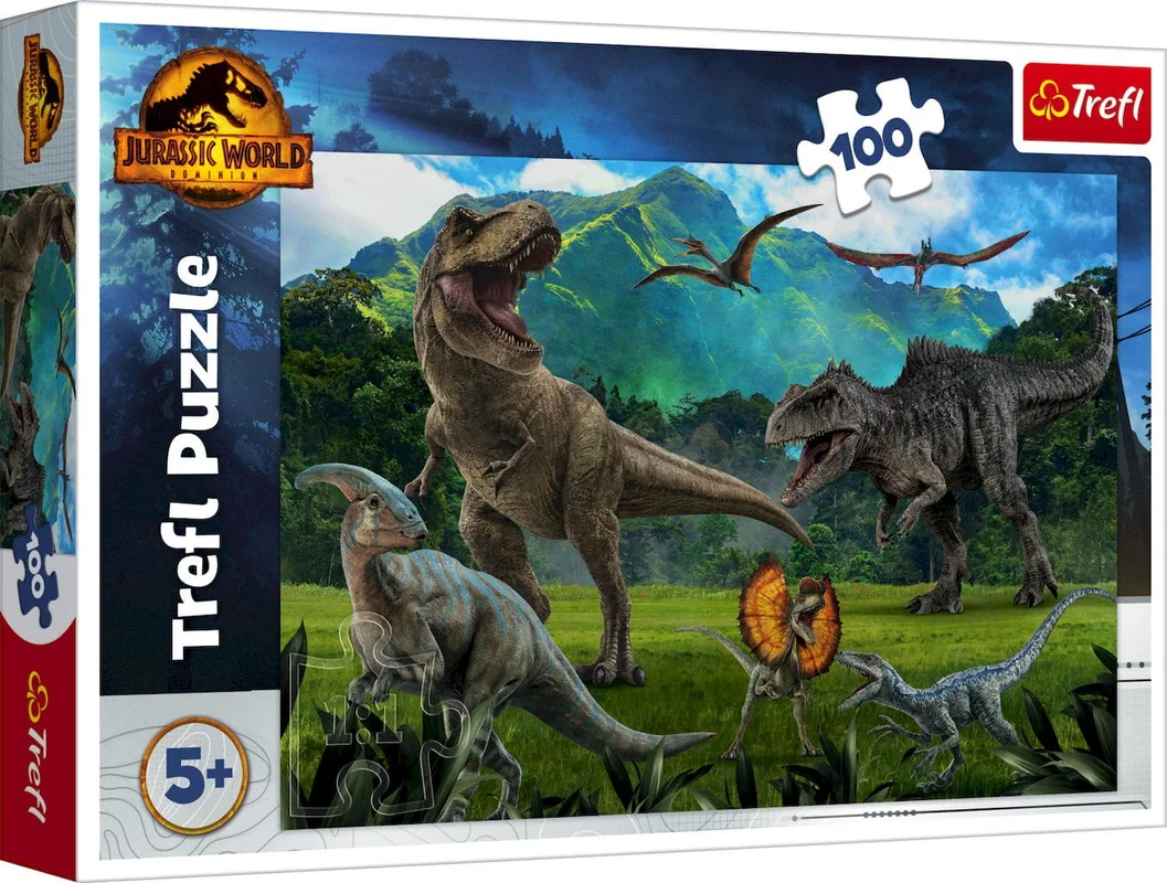 playpolis2502531