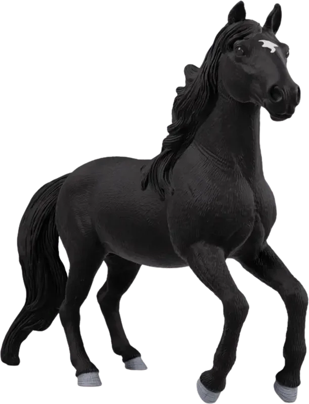 playpolis2571211